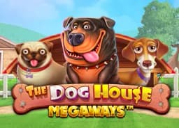 duck-bet: The Dog House Megaways